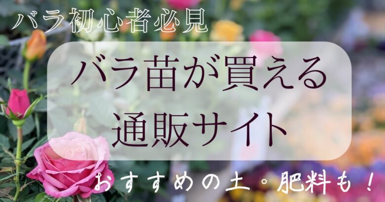 バラ初心者必見 バラ苗が買える通販サイト おすすめの土 肥料 おたくねこ