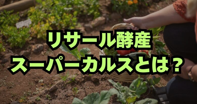 スーパーカルス